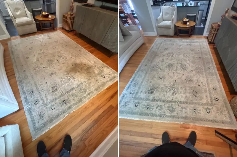 Light Oriental rug on a hardwood floor with a dark stain, then the same rug clean